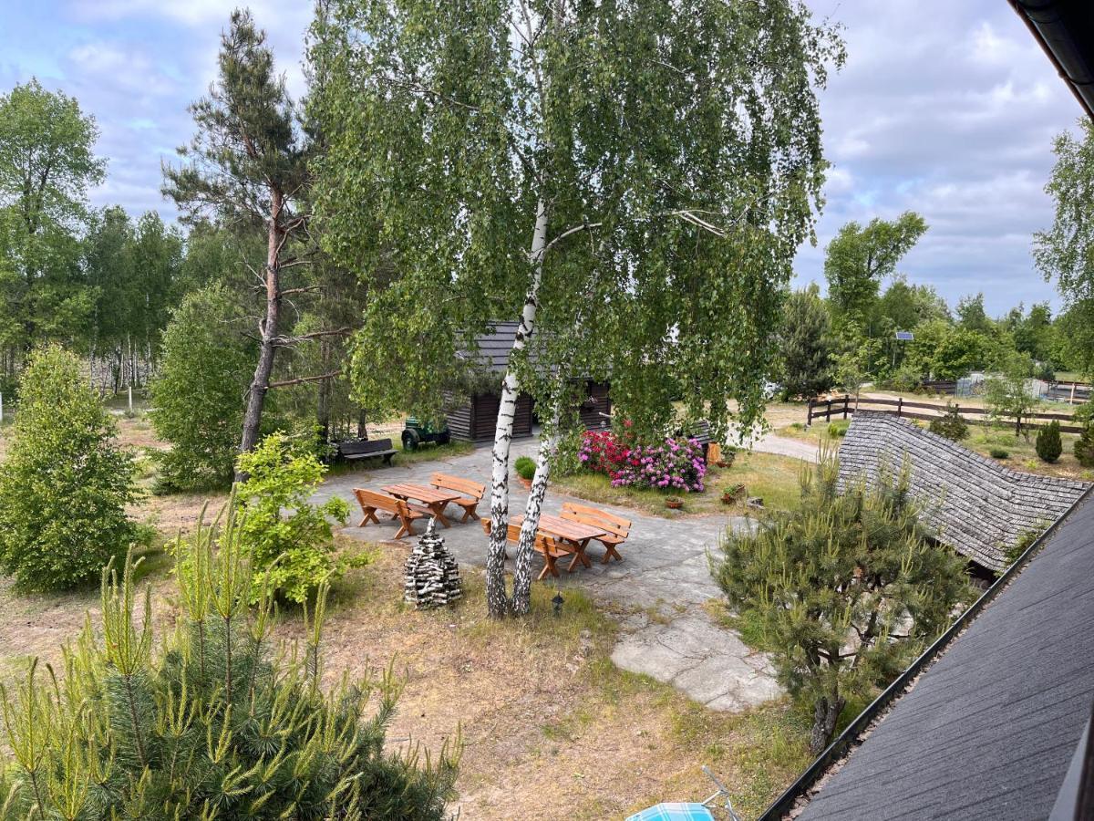 Dzika Zagroda Dziemiany Bagian luar foto